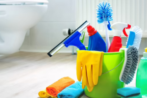 Messie Reinigung Würzburg